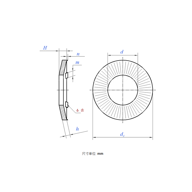 Grounding Washer