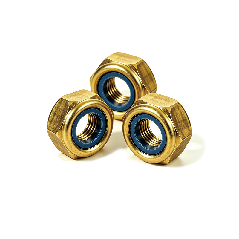 Nylon Insert Lock Nut / Nylon Anti-Loosening Nut