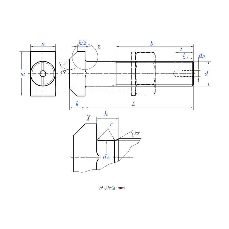 T-Type Foundation Bolt