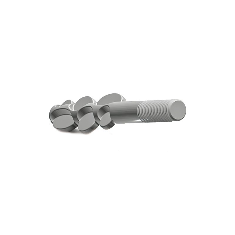 E-Type Foundation Bolt