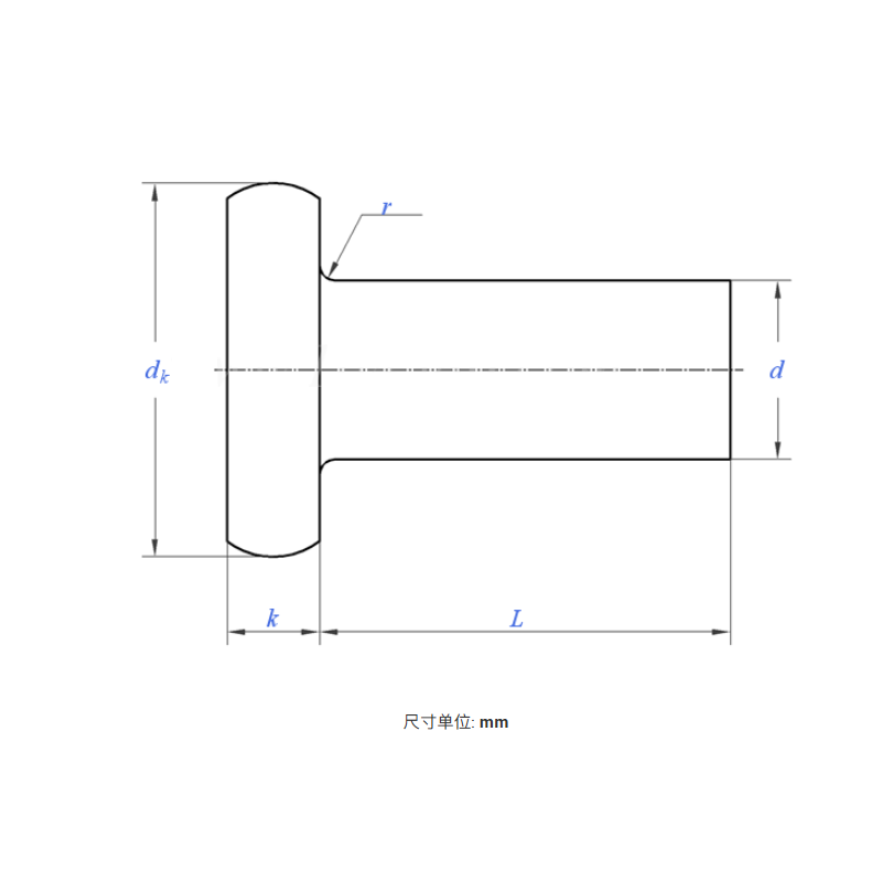 Flat Head Rivet