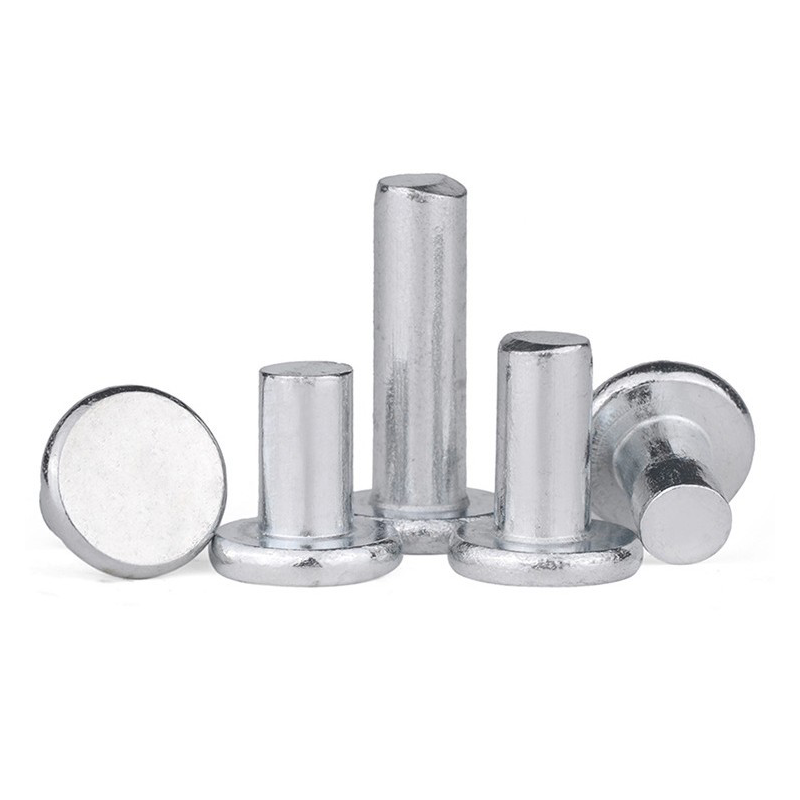 Flat Head Rivet